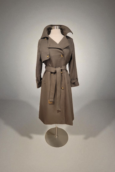 Fall Trench Coat