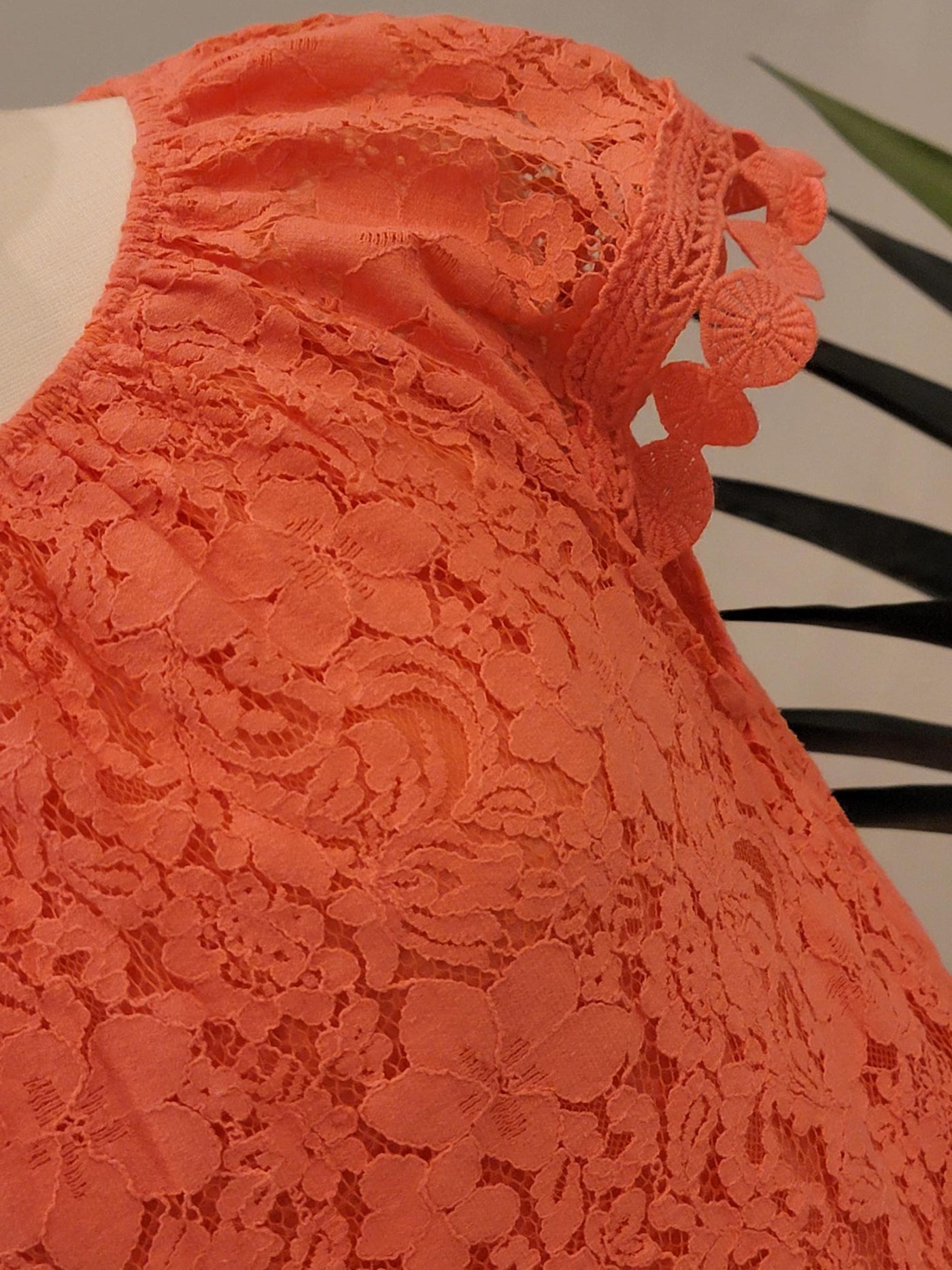 Lace summer dress